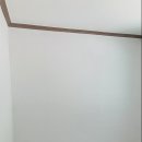 다올도배장판