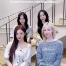 보브패션 이미지