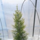 미림농원 이미지