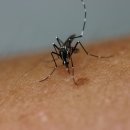 (주)지카 이미지