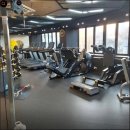 비바라짐 이미지