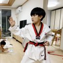 송화태권도 이미지