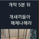 영생 - 경주시 건천5길 5 | 영생