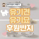 유기견, 유기묘 후원이 되는 은반지(플리즈럽미) 구매후기!