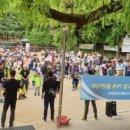 용인대석사 대하 태권도 이미지