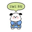 솔푸른향기애견 이미지