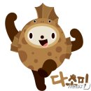 다소미로 이미지