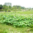 능내1리 이미지