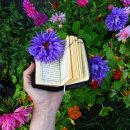 동 행정사 사무소 이미지