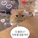 씨유 마산회성현대점 | 努力 未来 a Beautiful Star