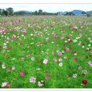 토평공원 이미지