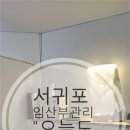 서귀포 오늘도바디케어테라피 아로마 스포츠 타이 마사지 선택 팁