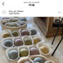 시루온플라워