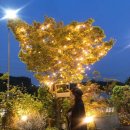 라리백운호수점 | 백운호수 카페 추천 / 카페라리 백운호수점