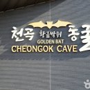 동해웰빙레포츠타운 종합경기장 건물내부 | [강원도 동해시] 천곡천연동굴 자연학습체험공원