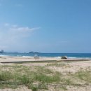 보노보노민박 이미지