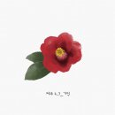누군가의 꽃 이미지