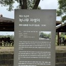 강정동-16 | [제주 서귀포] 강정천 2025 최신 방문 후기! 준비물, 주차, 샤워실, 화장실 이용 정보 총정리!