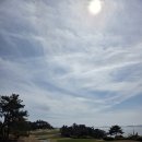 파인골프클럽 | [골프 라운딩] 해남 파인비치 골프클럽 링크스 코스