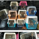 부산농장 이미지