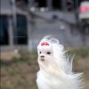 꼬르륵 - 중구 선화로 72 | 꼬르륵