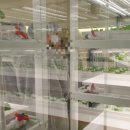 금옥농장 이미지