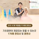 도그마루 강아지고양이 안산점 이미지
