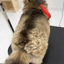 올치유치원 이미지