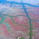 빛과갯벌-1 이미지