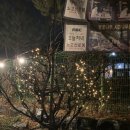 [양주 바베큐 / 장흥산 유원지 맛집] 양주 노고산로뎀나무 바베큐 후기 / 애견동반 가능 / 메뉴판 / 주차
