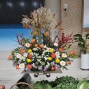 2025년 11월 3주 성전 꽃꽂이 - 울산 미포교회 이미지