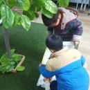 마키루키꿈샘유치원 이미지