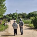 할머니순대국 이미지