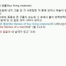 네바퀴