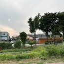 산성막국수 티스토리