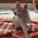 도도세차장 진월점 이미지