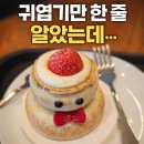 눈사람 | 스타벅스 눈사람 바움쿠헨 솔직 후기｜가격·칼로리·토피넛라떼 조합까지 정리