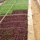 숙이네농장 이미지