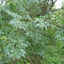 큰나무농장 이미지