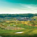 타니스테이 이미지