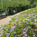 앞산어린이공원 놀이터 이미지