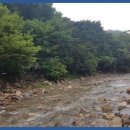 계곡일번지 이미지