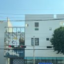 광주유치원 | [광주 서구] 애견유치원 등원후기 우쭈쭈플렉스 광주점
