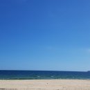 고향냉면 이미지