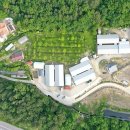 농업회사법인 (주) 대관령 이미지