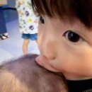 블루무드 이미지