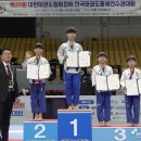 호랑이태권도 이미지