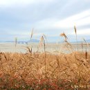 세포삼거리 이미지