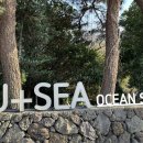 씨스테이(SEA STAY) 이미지