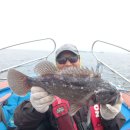 서해바다낚시 광어 우럭 굿~조황 / 5월 가정의달 / 수도권에서 가까운 당진 장고항 이미지